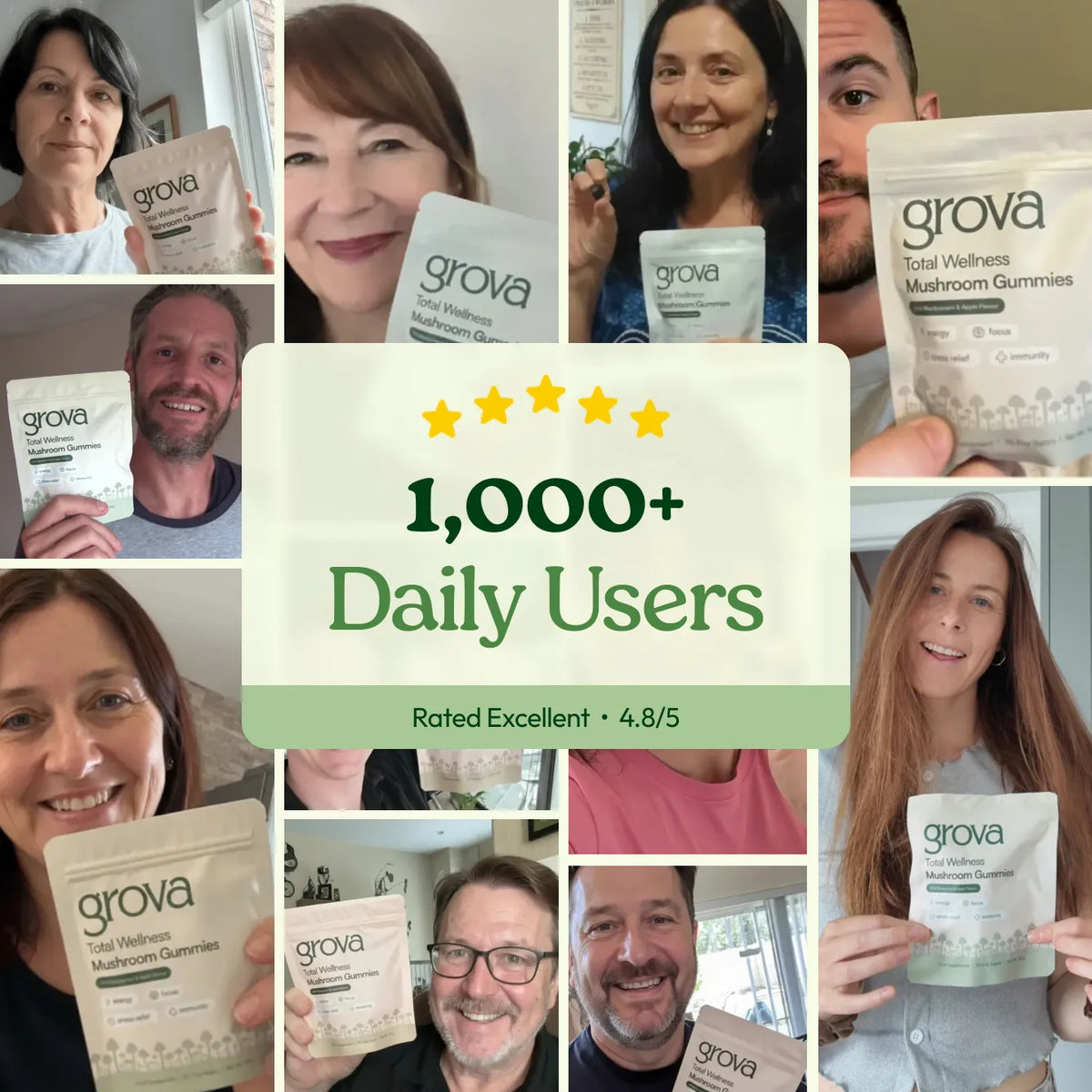 Daily Wellness Mushroom Gummies