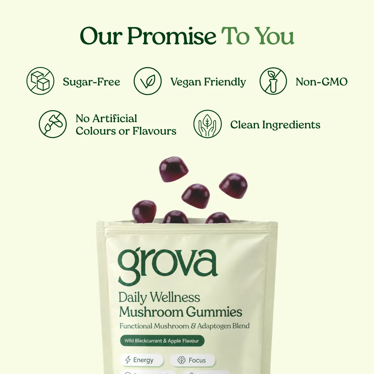 Daily Wellness Mushroom Gummies
