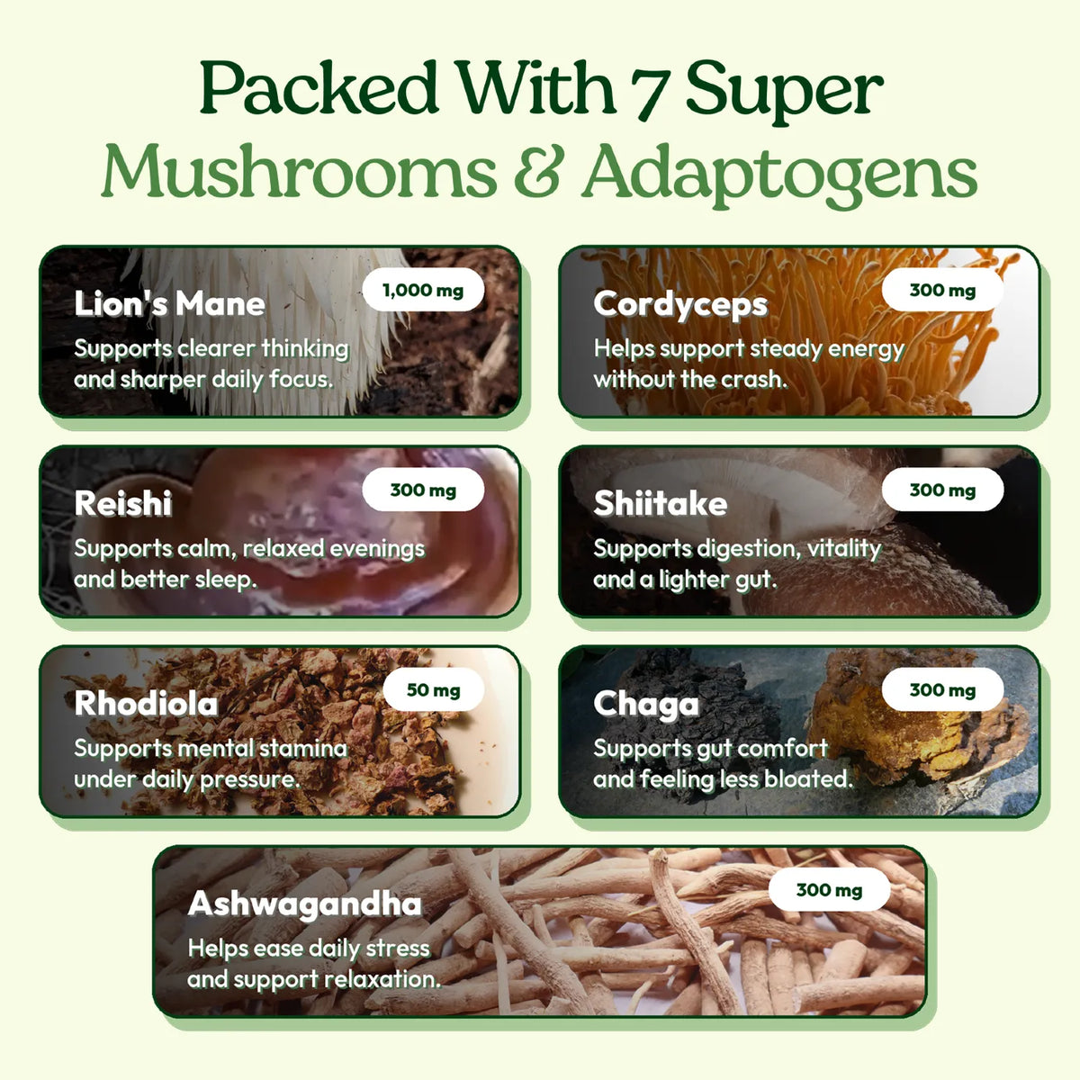 Packed with 7 super mushrooms and adaptogens