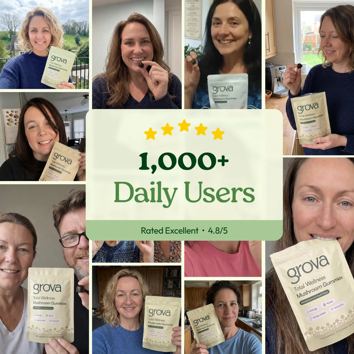 1,000+ daily users, rated excellent 4.8 out of 5