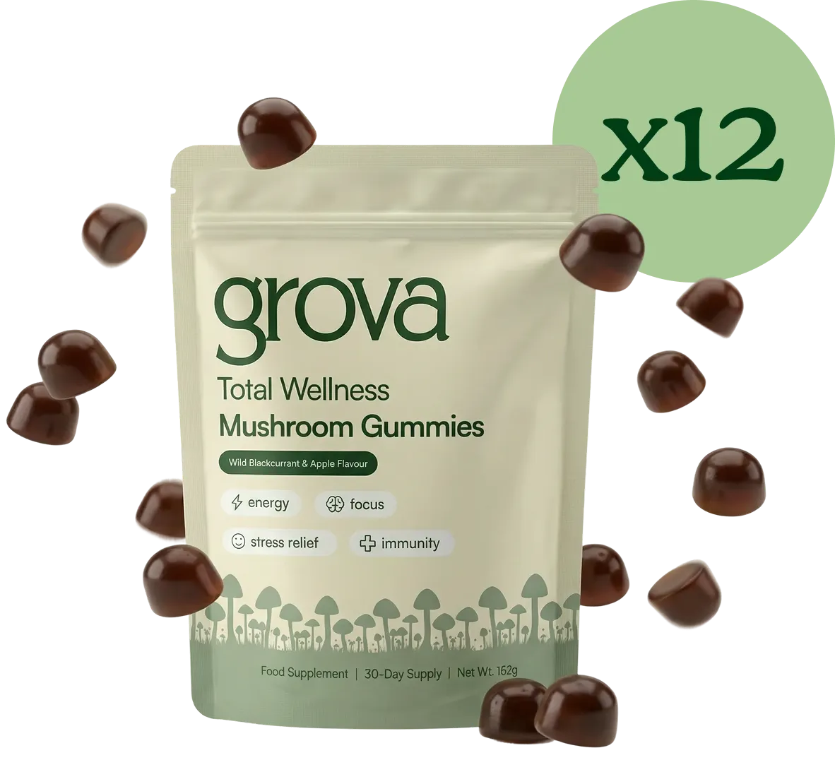 Twelve month Grova bundle