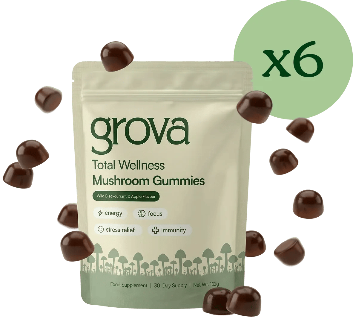 Six month Grova bundle